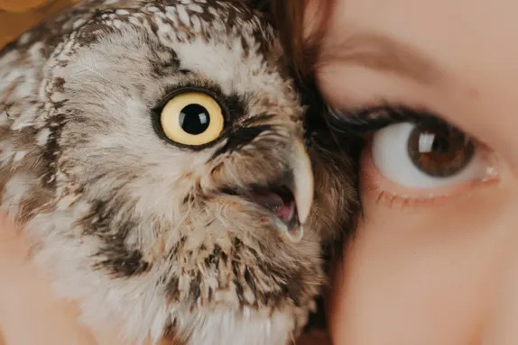 Paradise Casino Tacaíocht